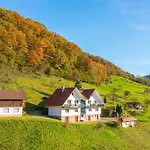 Im Renchtal *