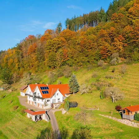Im Herzen Des Renchtals Hébergement de vacances