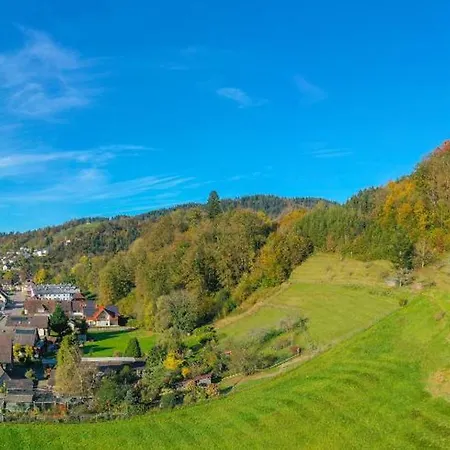 Im Herzen Des Renchtals Holiday home